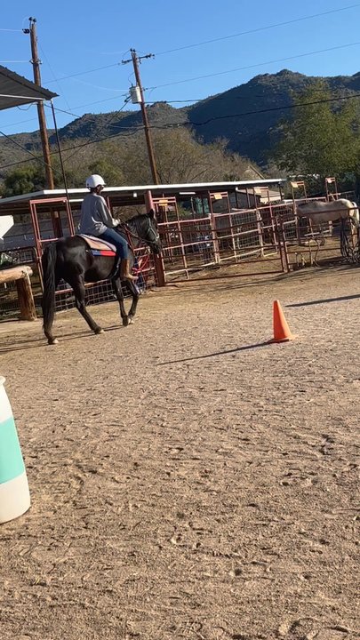 Robinson Ranch - Well... I took a class! - Horseback Riding Near Me - Phoenix, Arizona