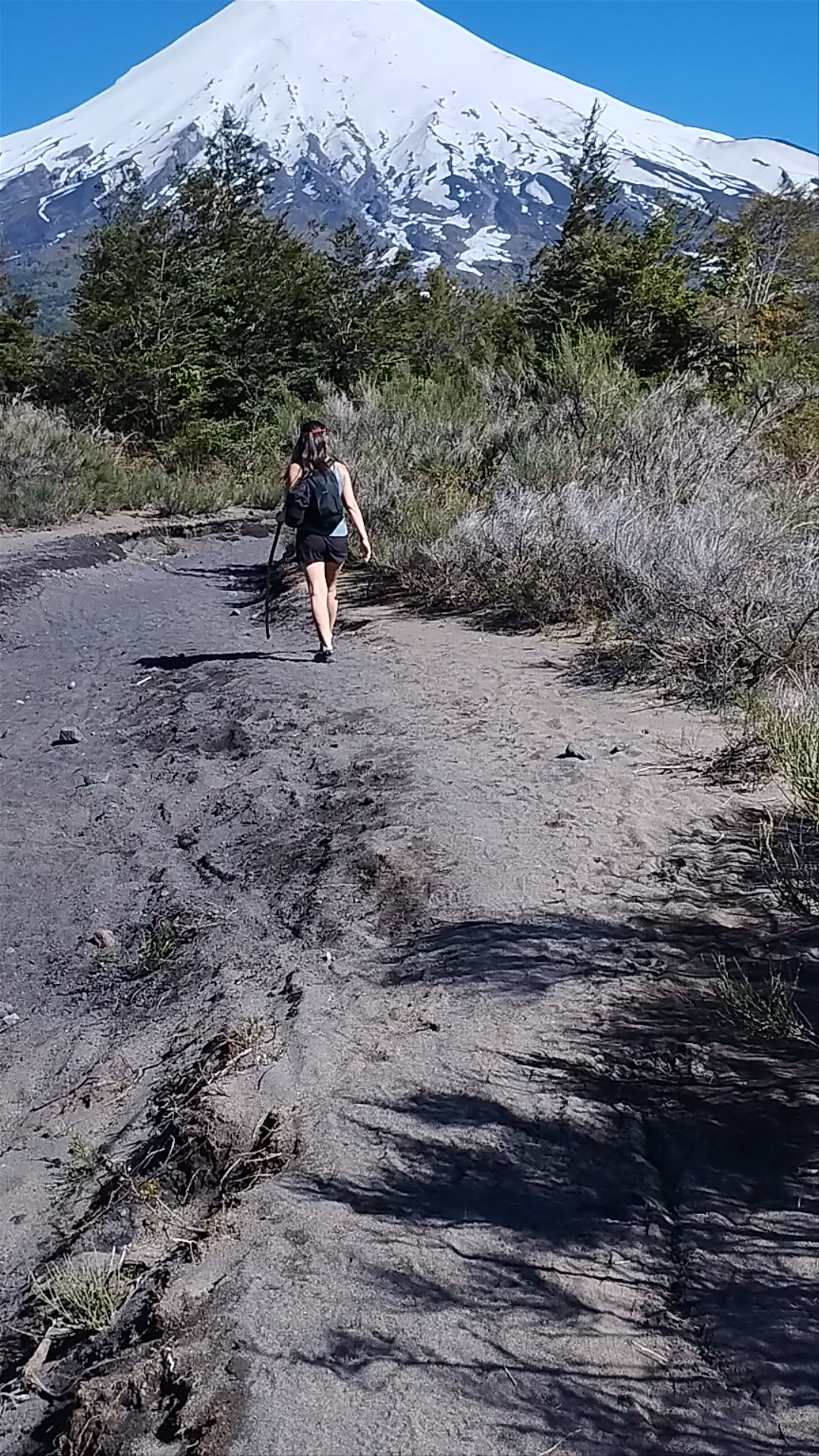 Sendero "Paso Desolación" - Sendero Paso Desolación