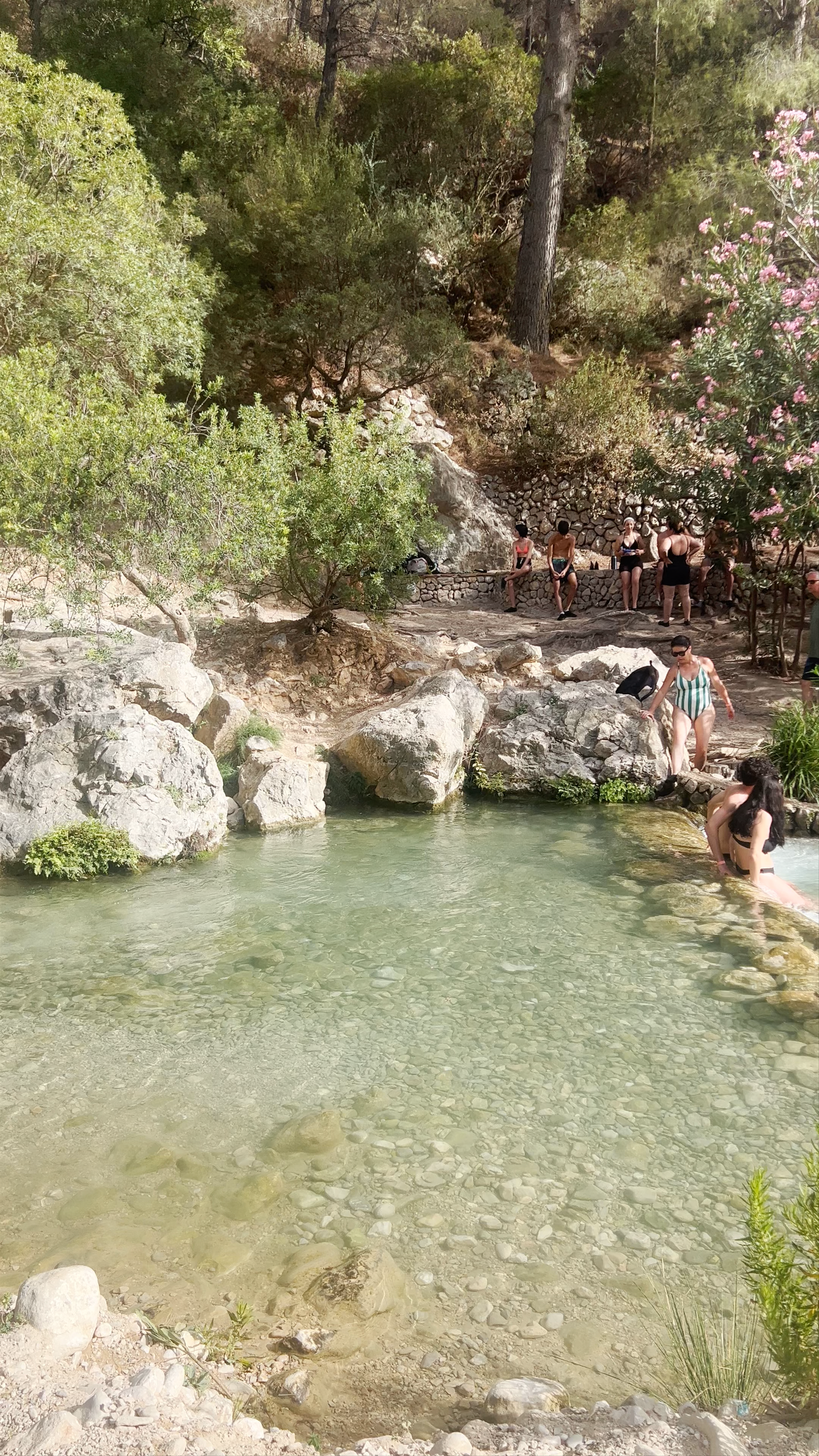 Fonts de l'Algar: Refreshing Natural Pools in Callosa d'en Sarrià
