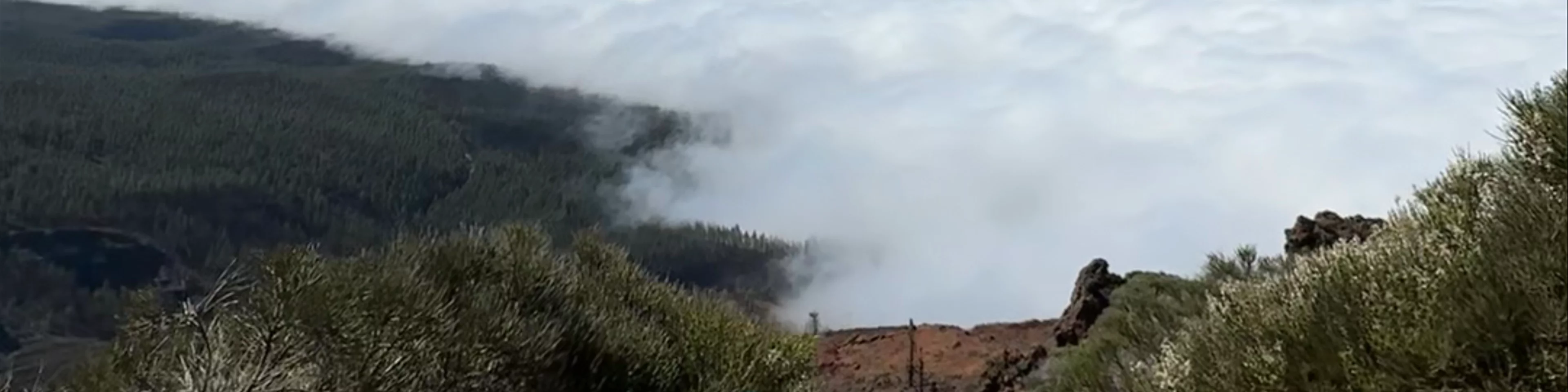 Parque Nacional del Teide