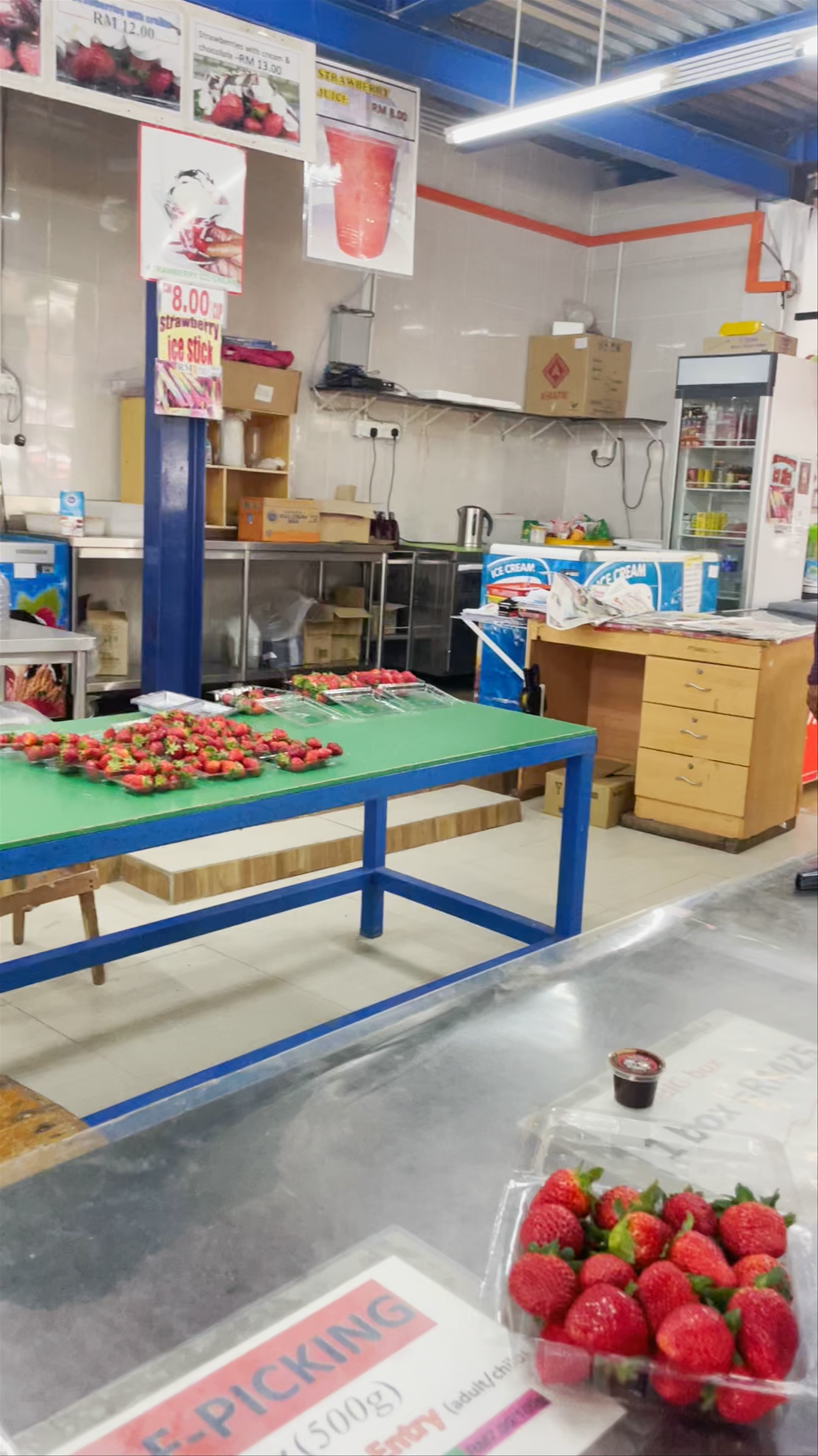 Healthy Strawberry Farm