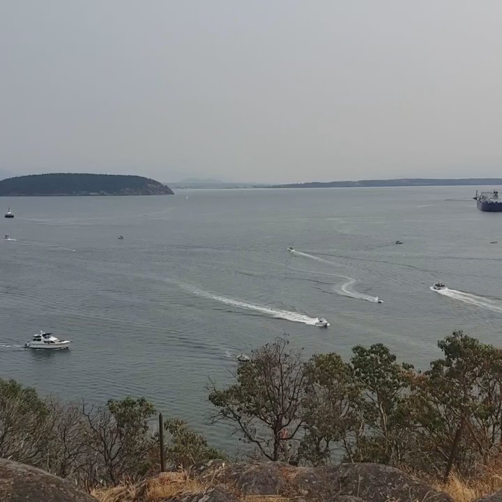Cap Sante Park - Enjoying the Cap Sante Waterway - Parks Near Me - Anacortes, Washington
