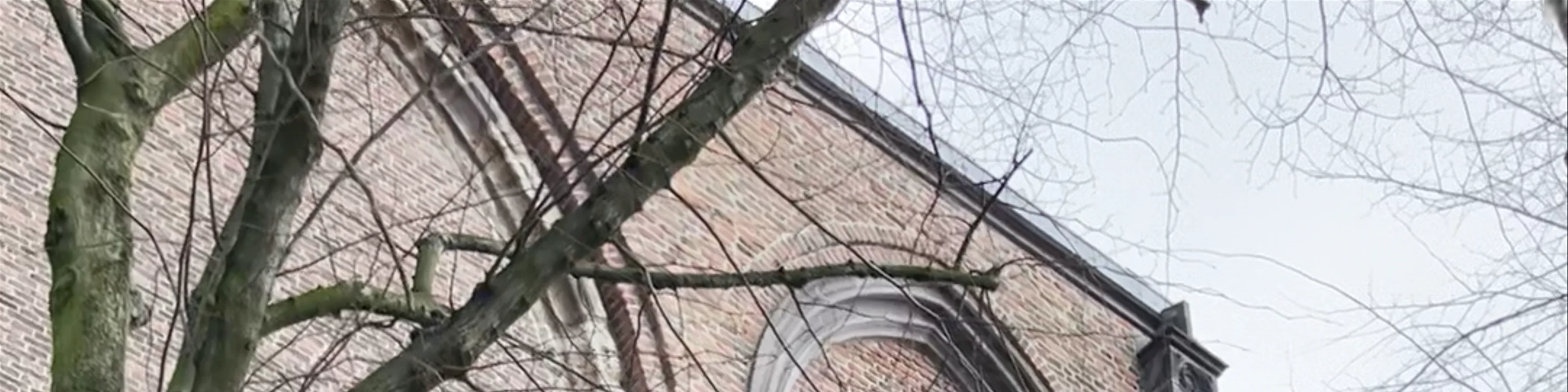 Vrijheidsbeeld