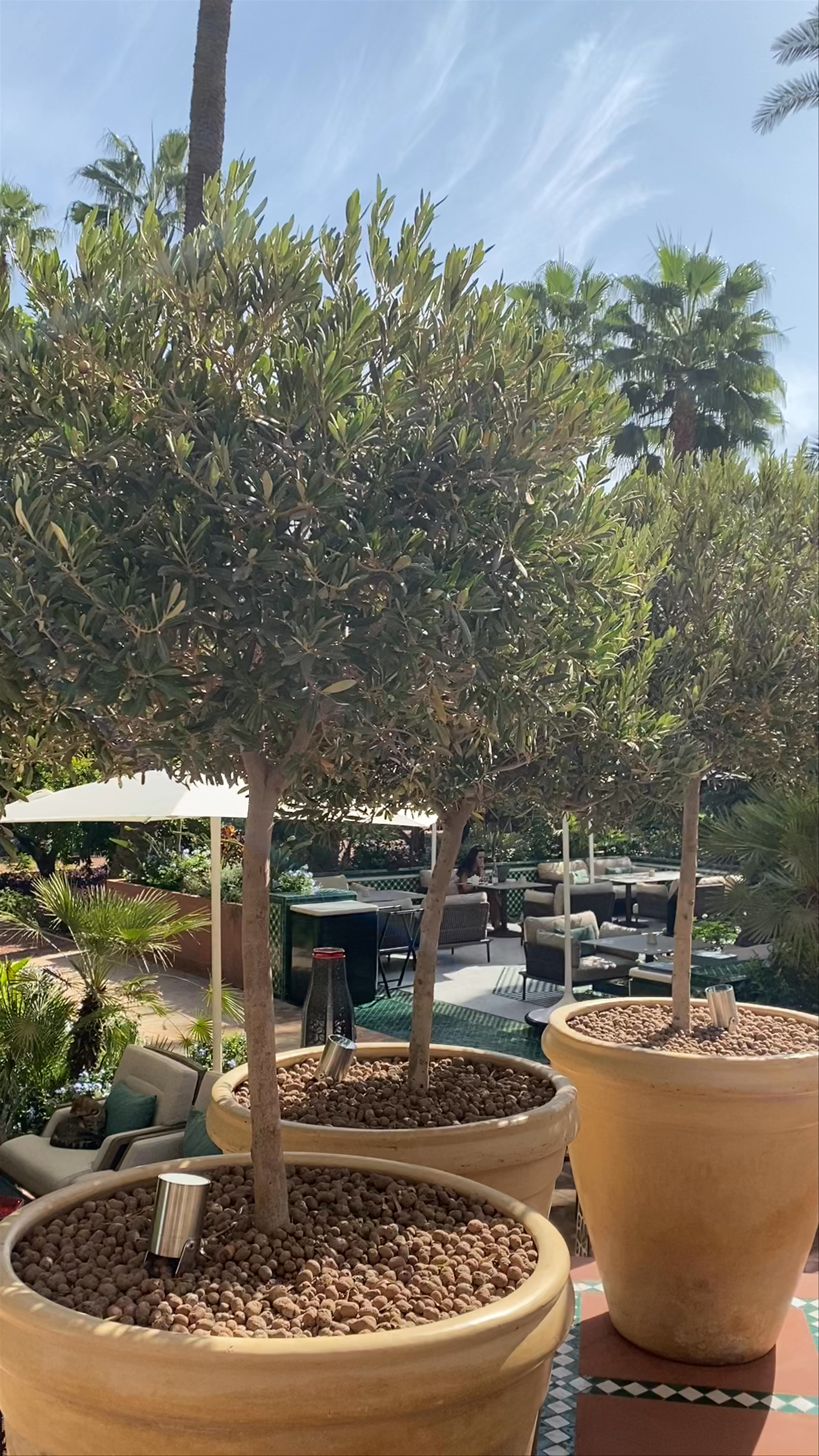 Royal Mansour Marrakech: Luxurious Garden Lounge Experience