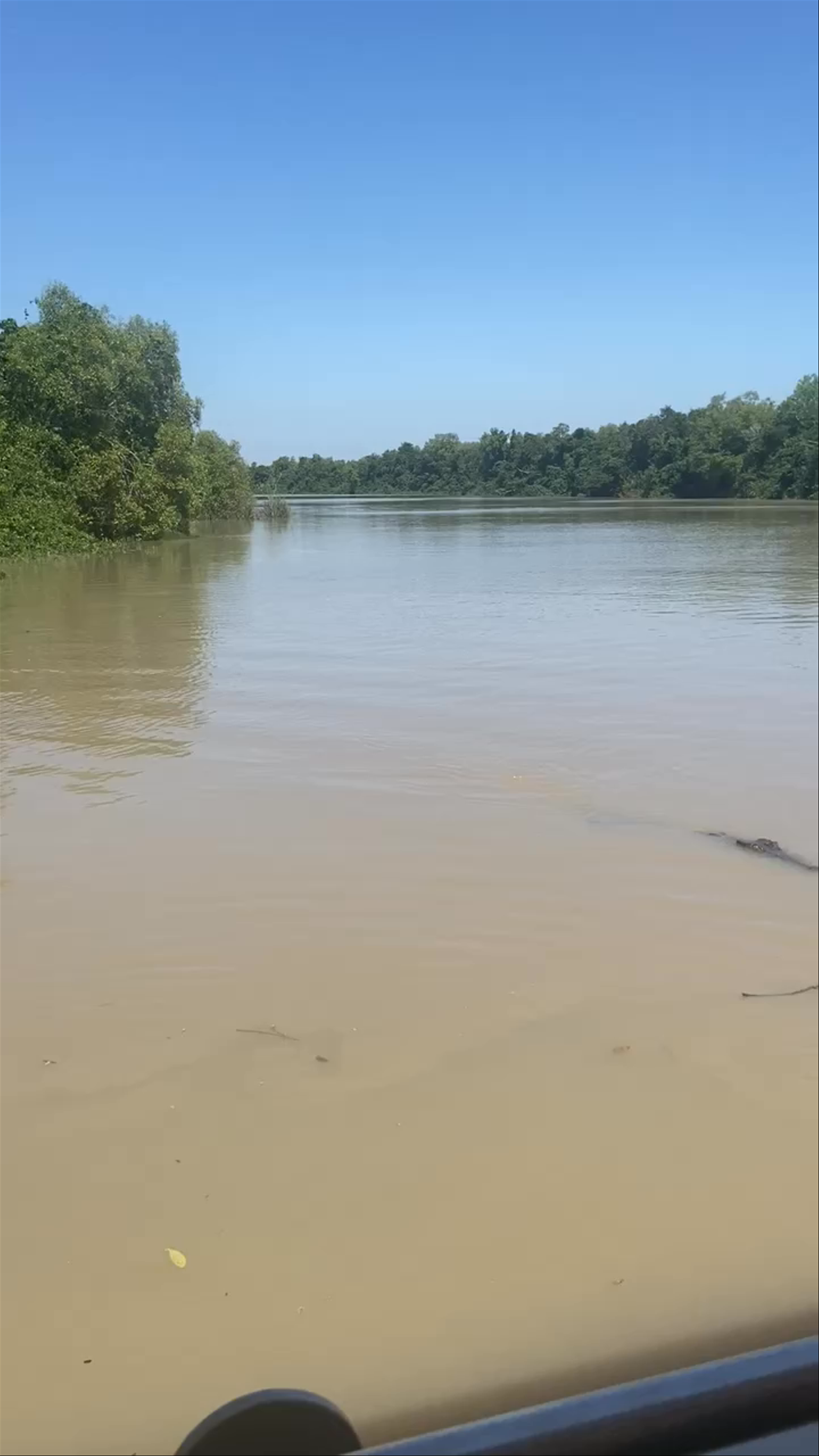 The Original Adelaide River Queen Jumping Crocodile Cruises