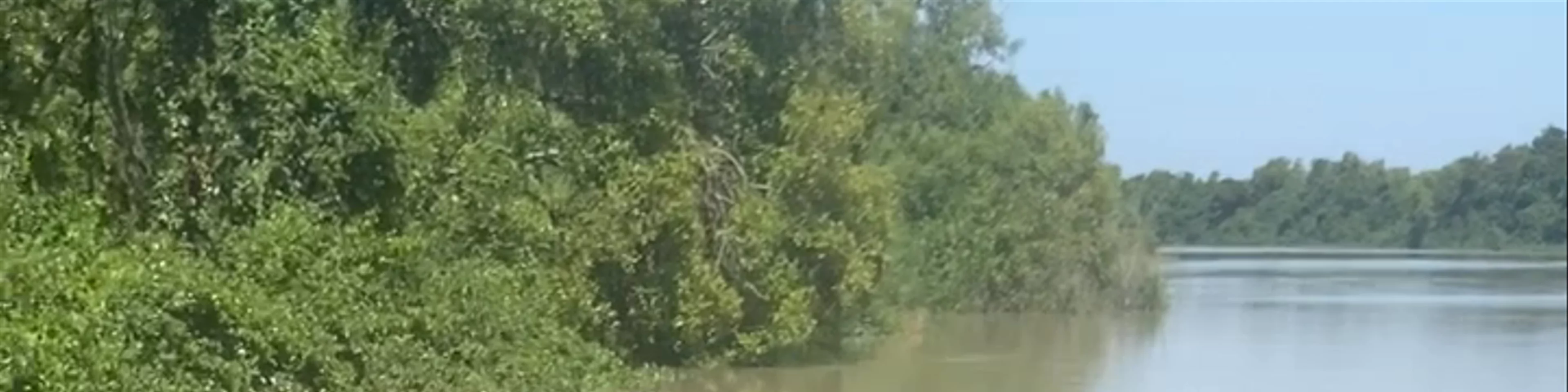 The Original Adelaide River Queen Jumping Crocodile Cruises