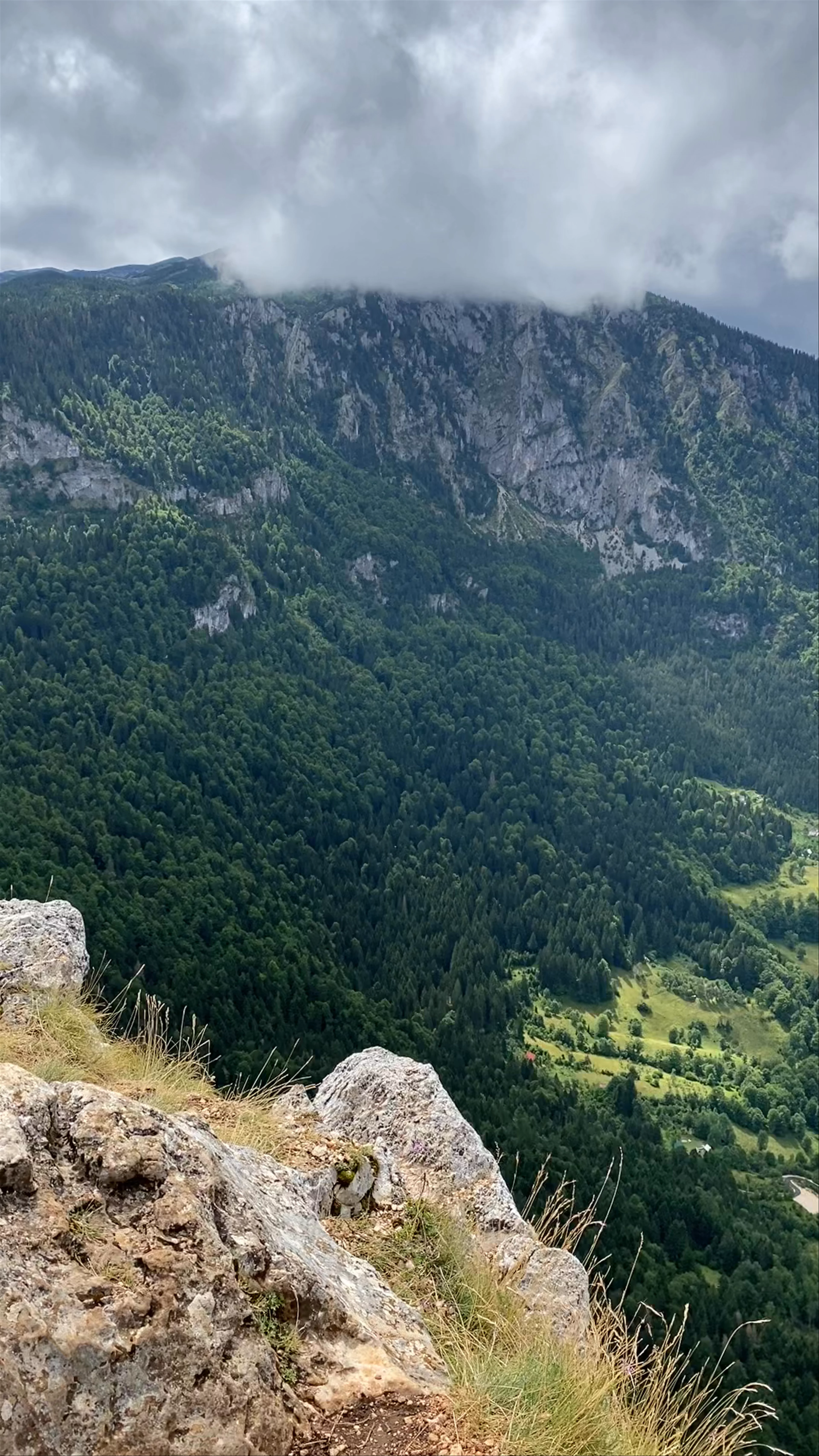 Ćurevac