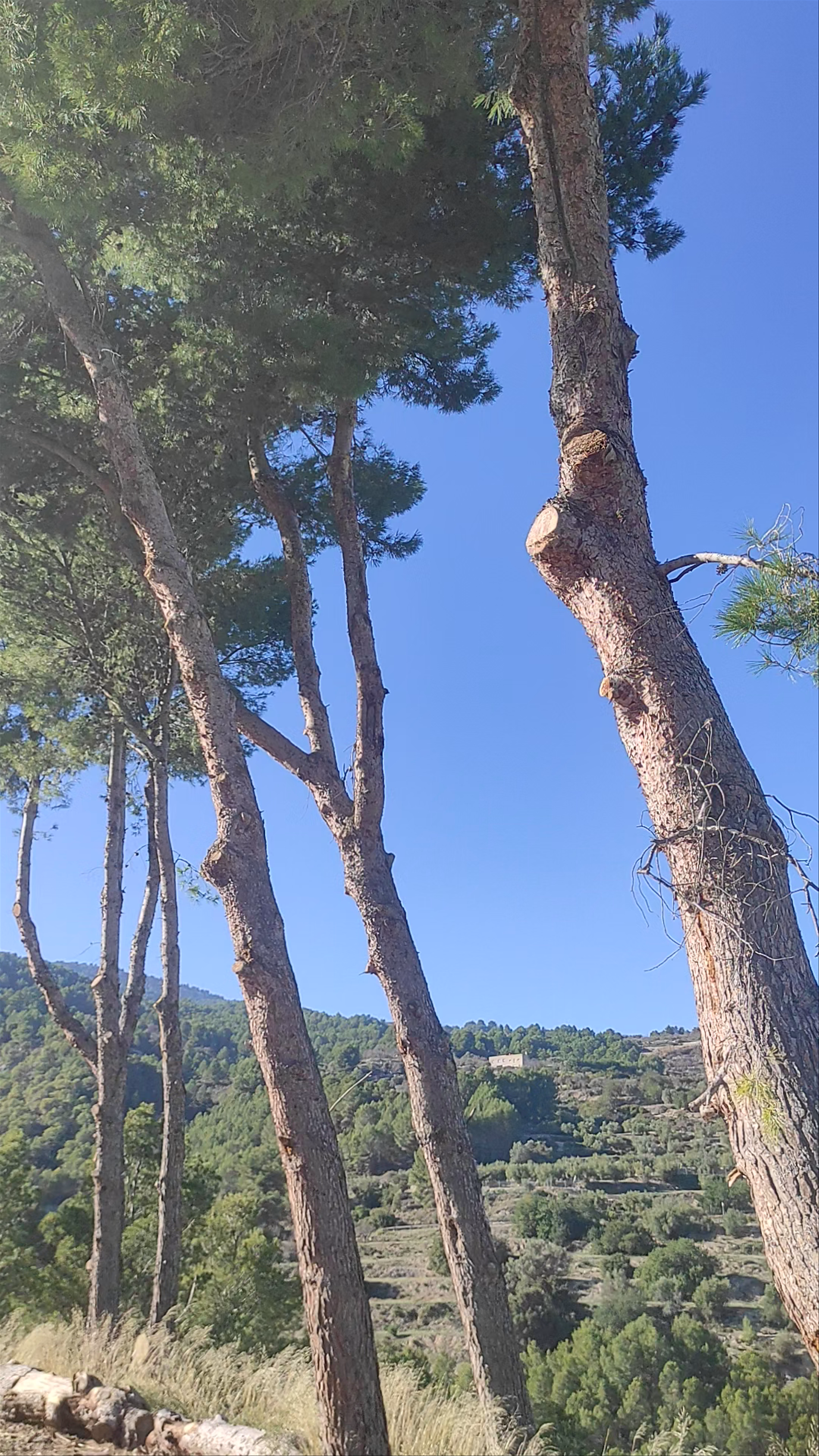 Scenic Viewpoint at Mirador Del Castillo de Guadalest, El Castell de Guadalest, Spain