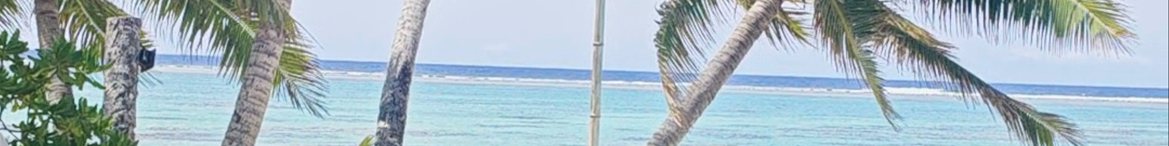 Tours & experiences in Cook Islands