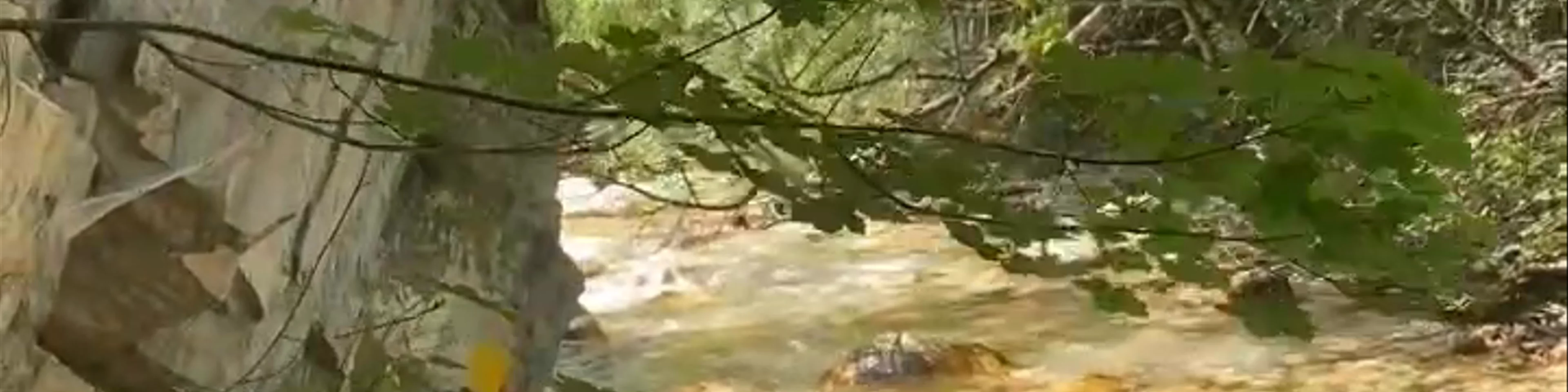 Νικ. ρέμα