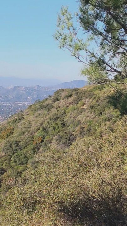 Idlehour Trail Camp - The view from Henninger Flat - Hiking Near Me - Altadena, California