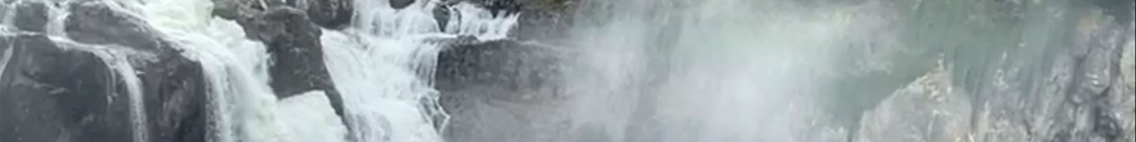 Tours & experiences in Snoqualmie