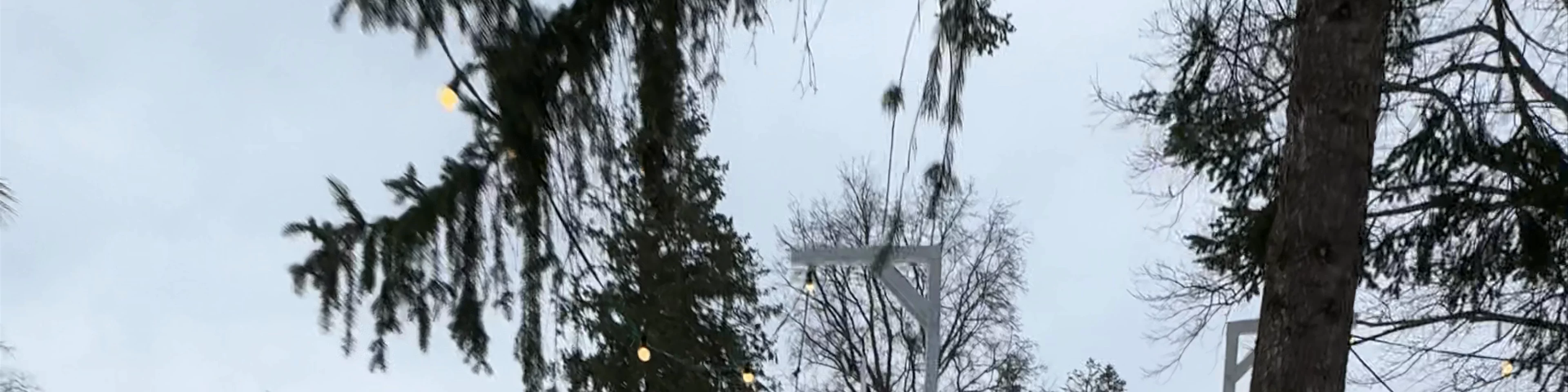 Lodowisko sezonowe Krakowskie Błonia - Kraków