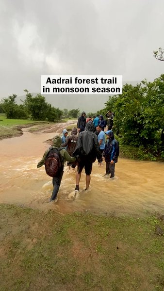 Photo of Aadrai Forest trail 