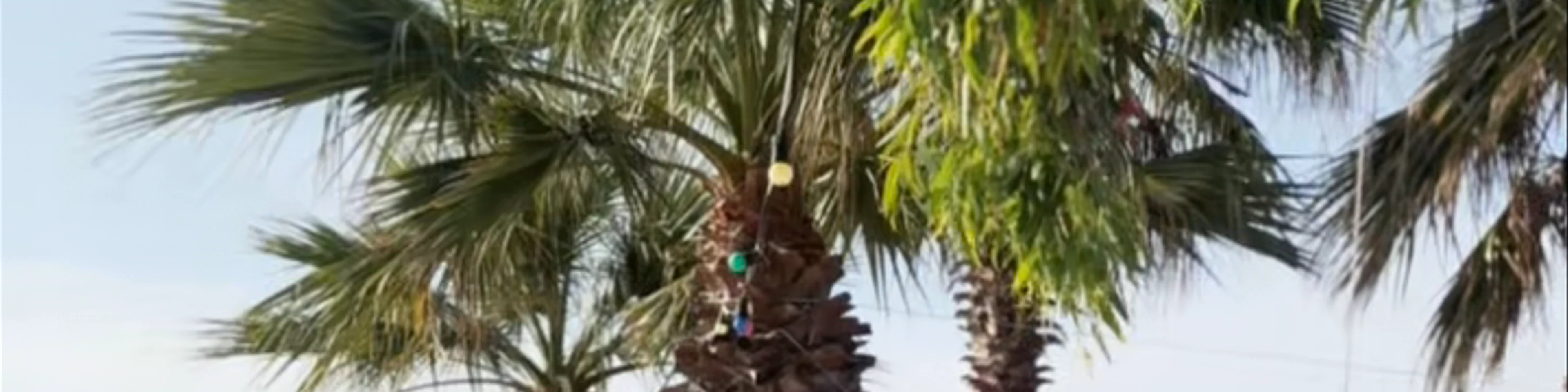 Ethnik Beach Bar