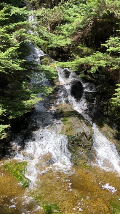 Brother's Creek Loop - Hiking Near Me - British Properties, British Columbia