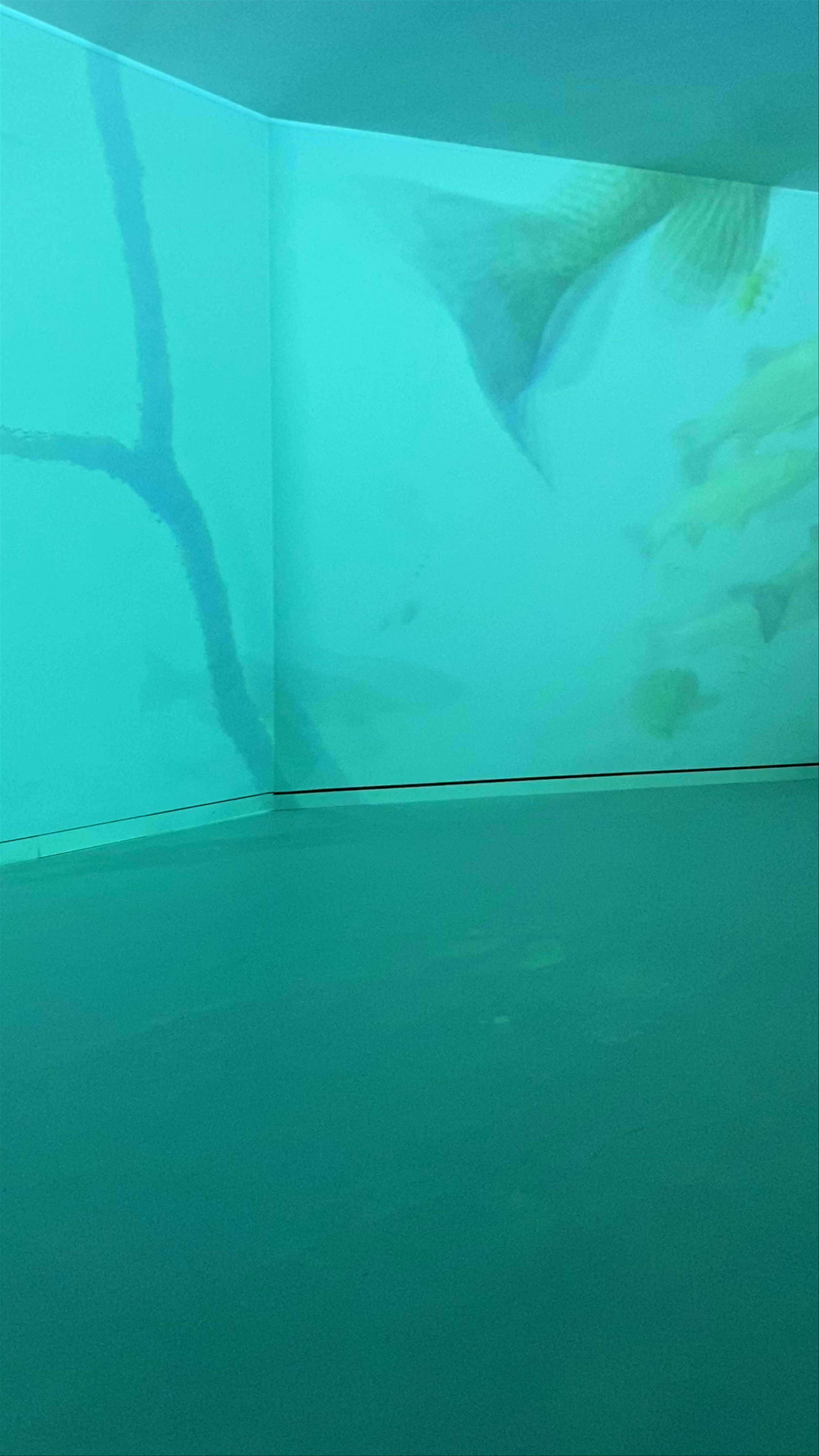 Rhyality Immersive Art Hall