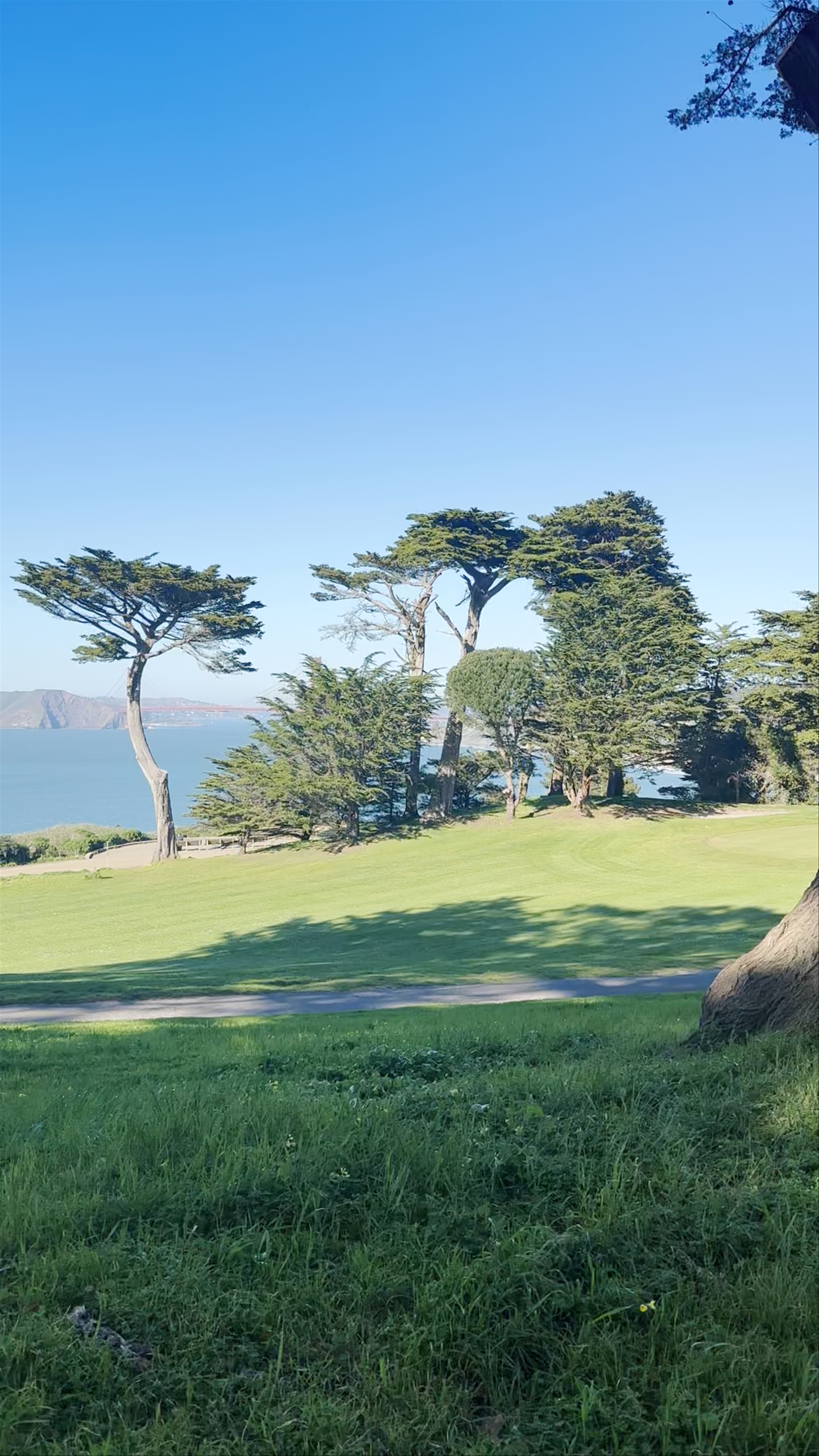 Lincoln Park Cemetery