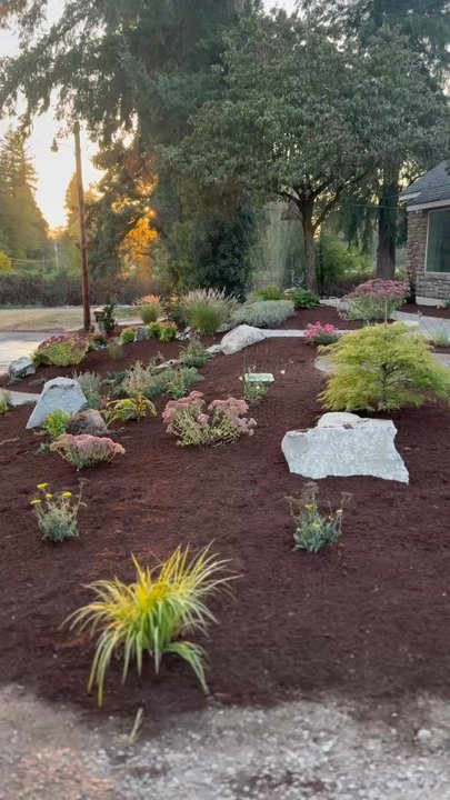 Luong's Landscaping - Beautiful landscaping - Landscaping Near Me