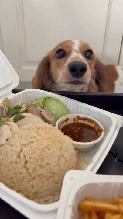 Midtown Eats - Food Court Near Me - Honolulu, Hawaii