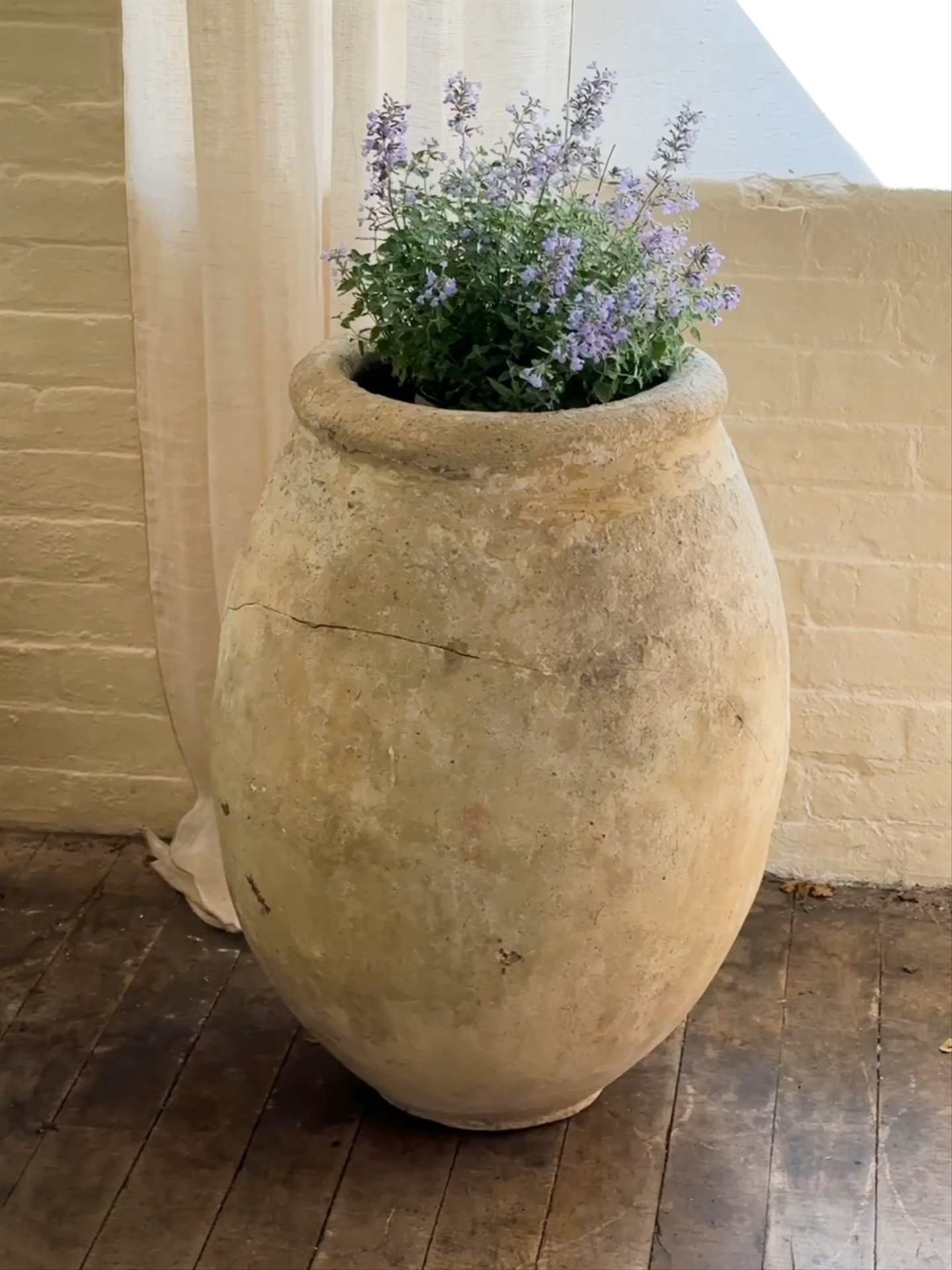 Antique Biot Olive Jar