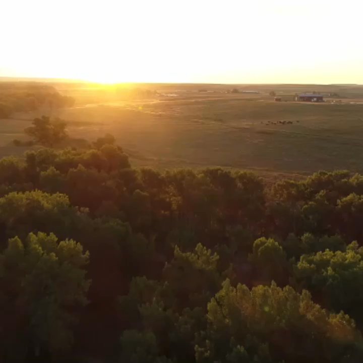 Rafter W Ranch - A short clip, showing some of what it looks like to be out here in the morning. So beautiful - Ranches Near Me - Simla, Colorado