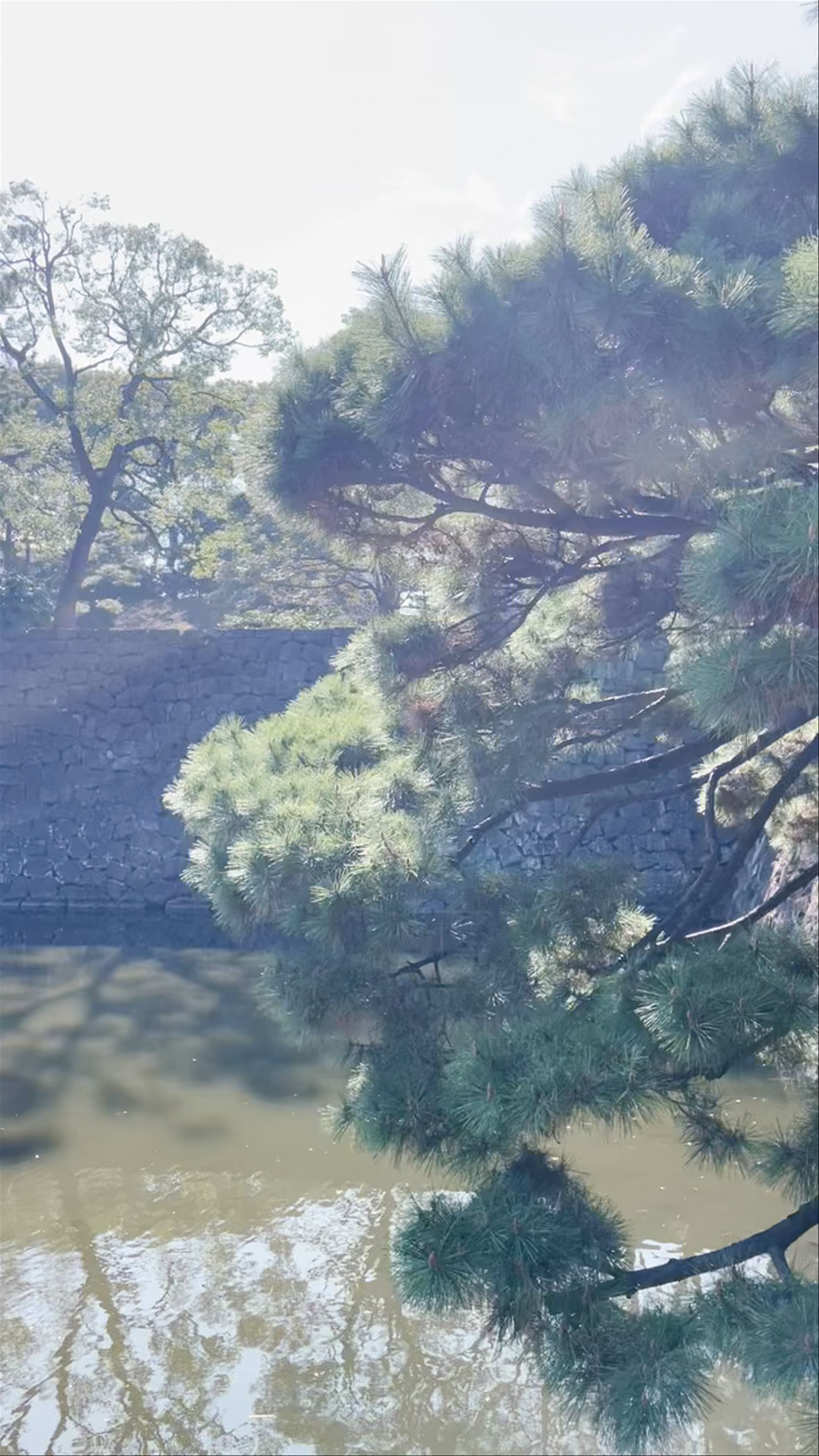 Kōkyo