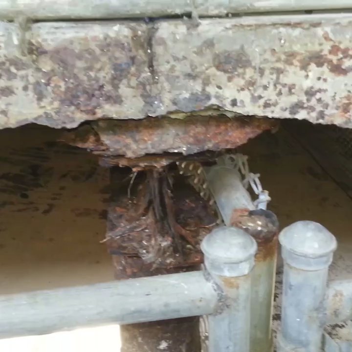 Colby Kennels - The deplorable conditions at Colby kennels. - Pet Sitting Near Me - Vails Gate, New York