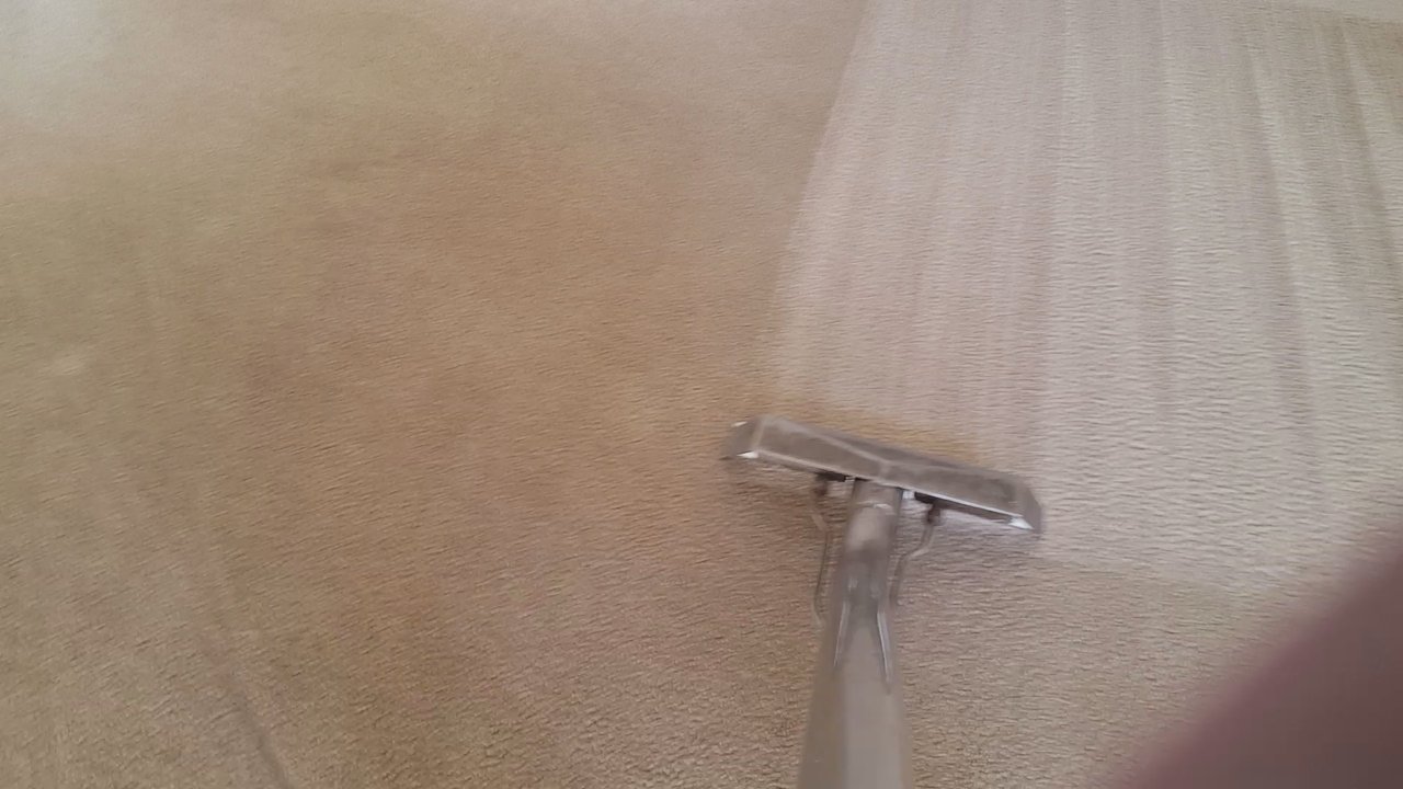 Clean Step Carpet Cleaning - Harman family carpet cleaning dose the cleaning right. Check this out - Carpet Cleaning Near Me