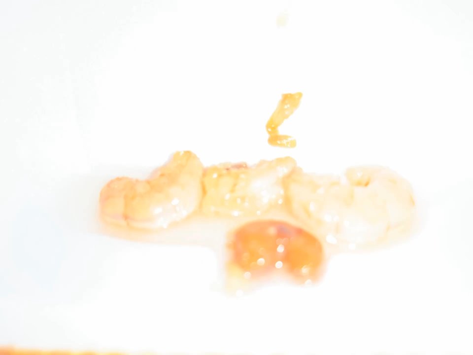 New China Express - closer look on the shitty shrimp - Chinese Near Me - Chicago, Illinois