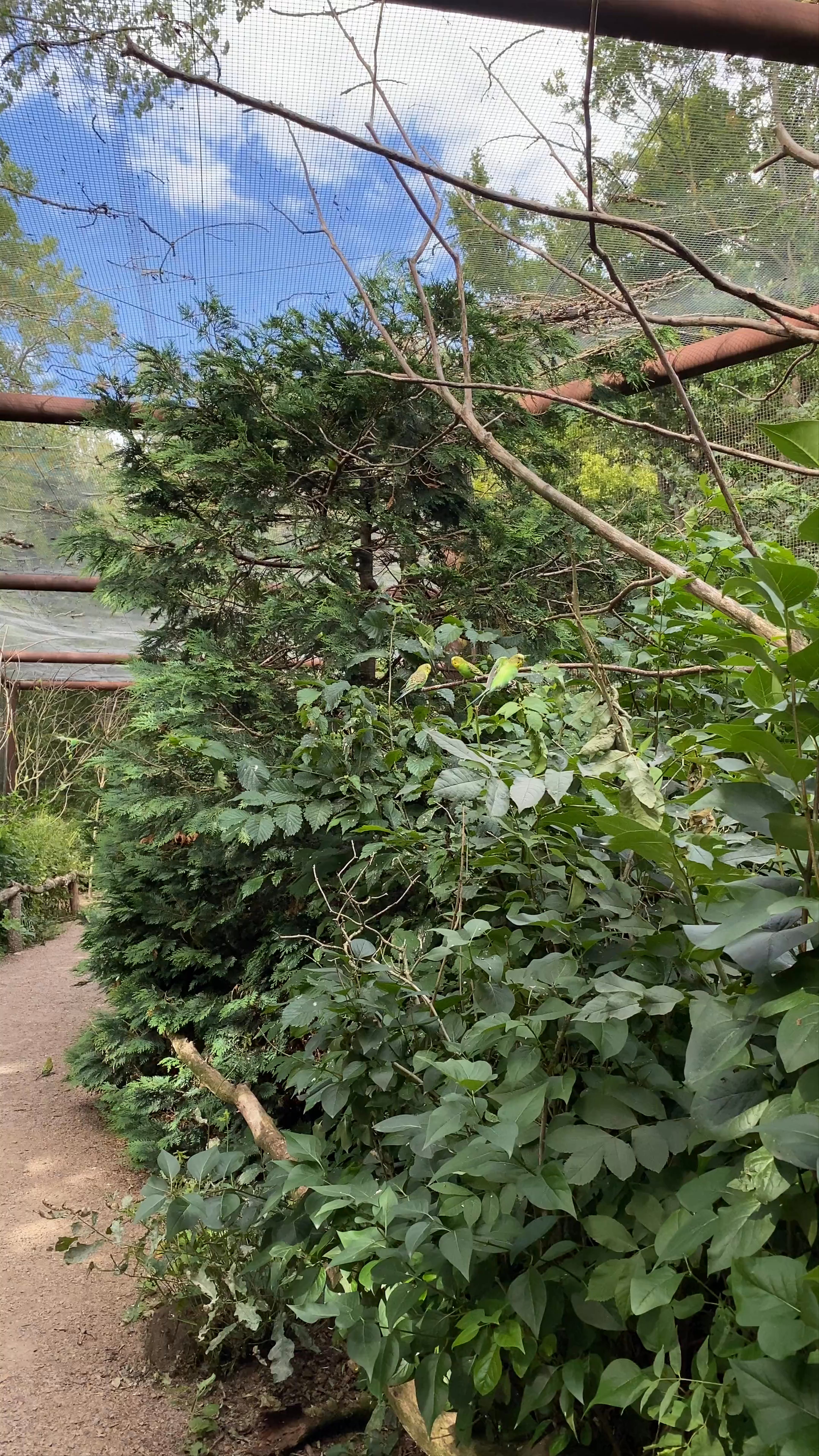 Helsingborgs Djur- och Lekpark