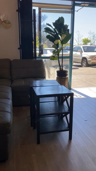 Teasociety - Inside cafe - Coffee & Tea Near Me - San Jose, California