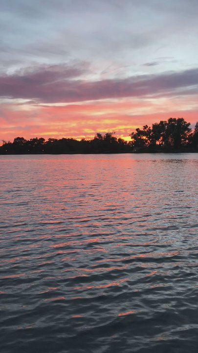 Lodi Lake Tours - "It's often the changes we didn't plan for that changes us the most." - Boat Tours Near Me - Lodi, California