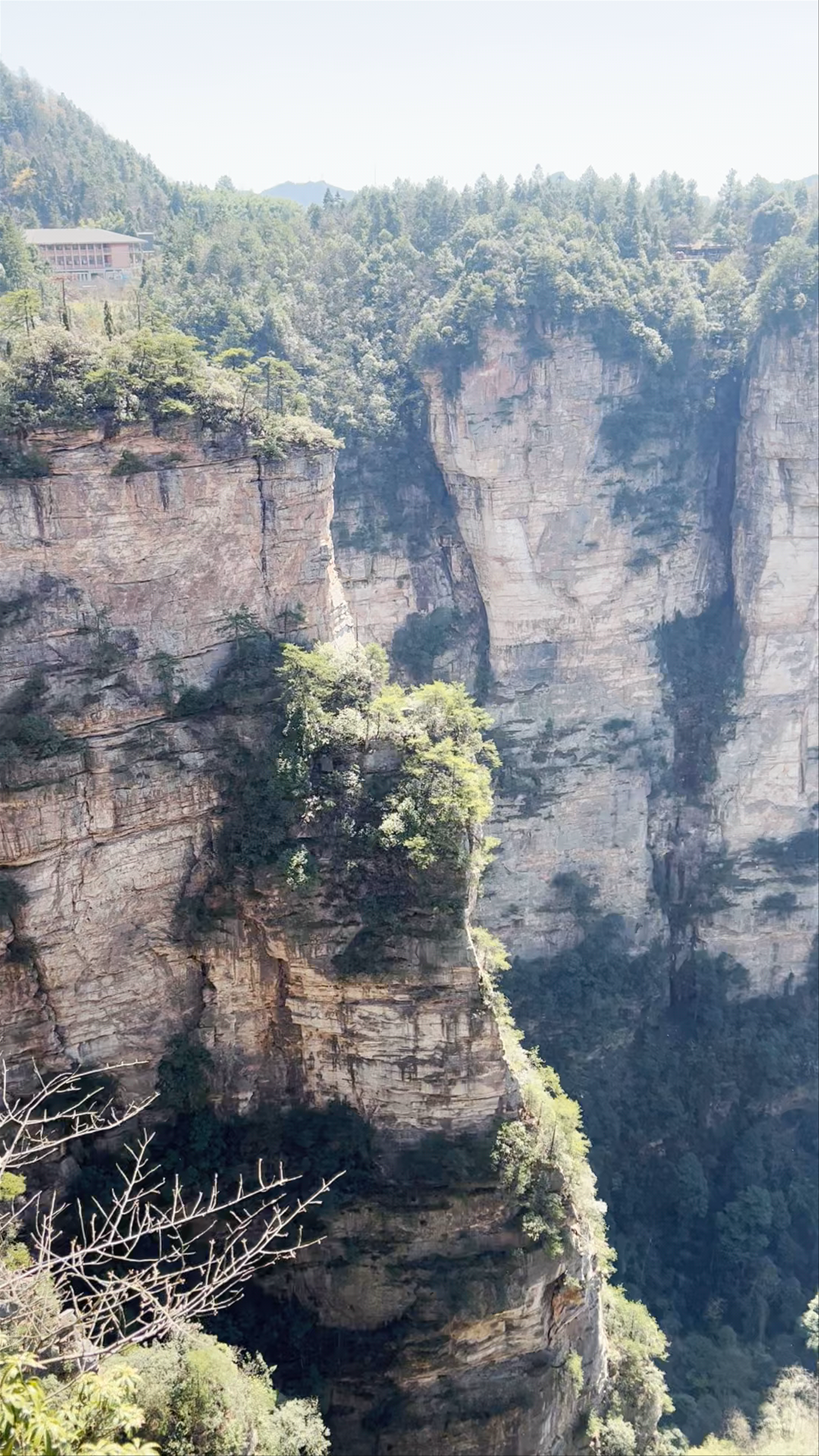 Majestic Heights at Wulingyuan Scenic Area in Zhangjiajie