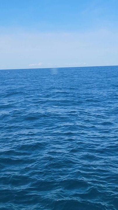 Frances Fleet - Boat Charters Near Me - Narragansett, Rhode Island