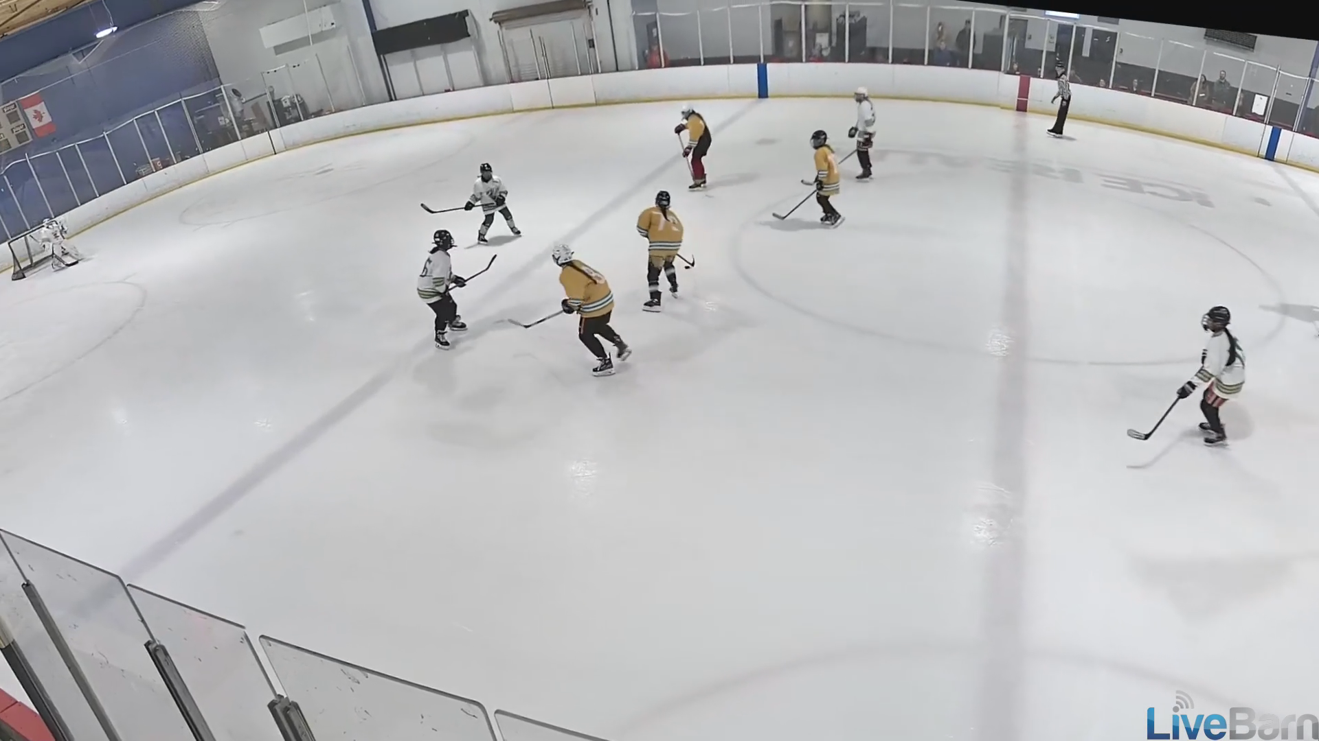 Rylie Frank's Spectacular End-to-End Goals |