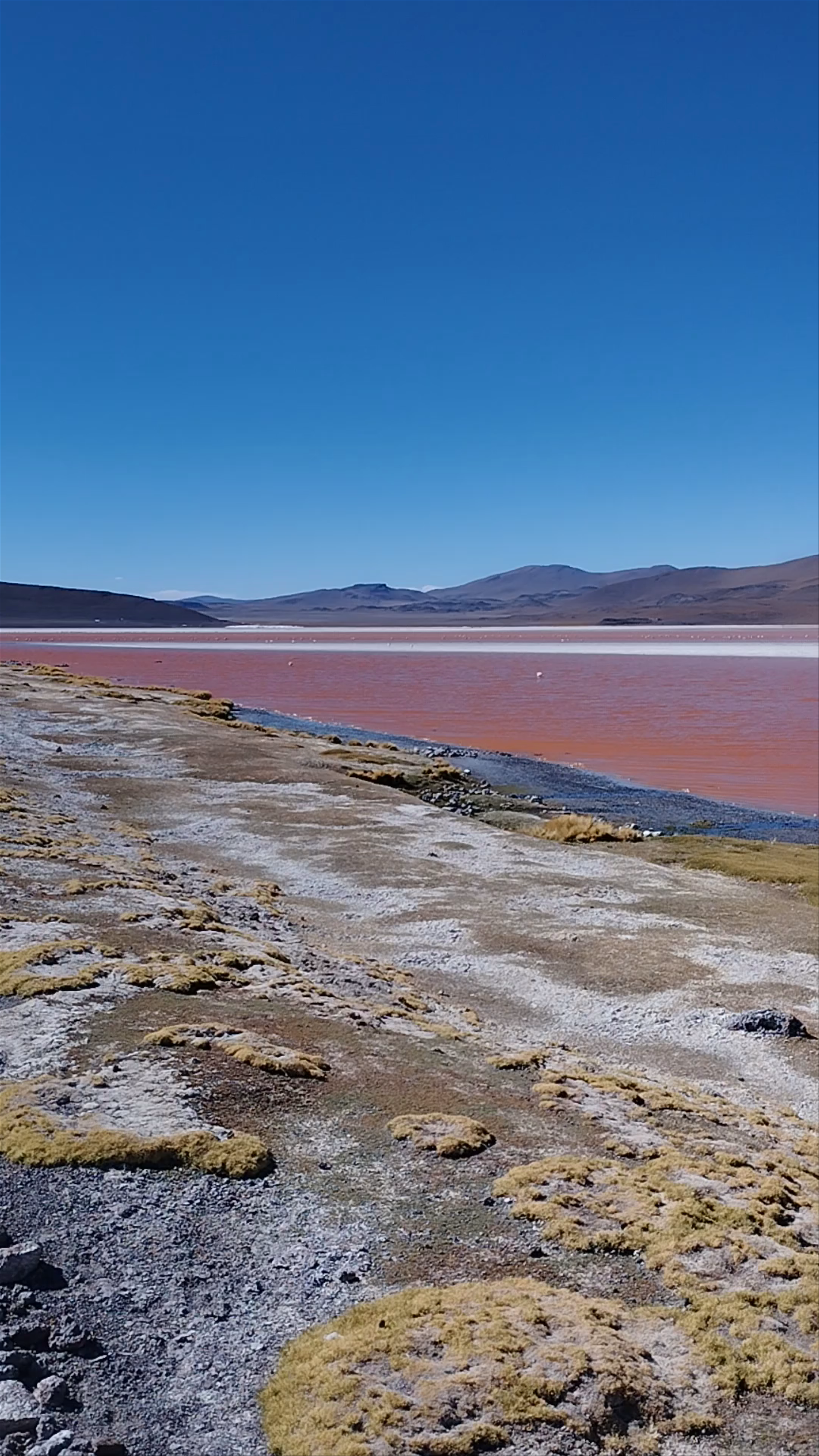 Laguna Colorada