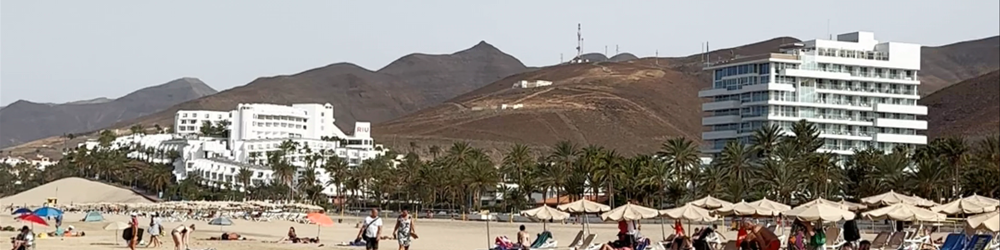 Strandliegen und Sonnenschirme