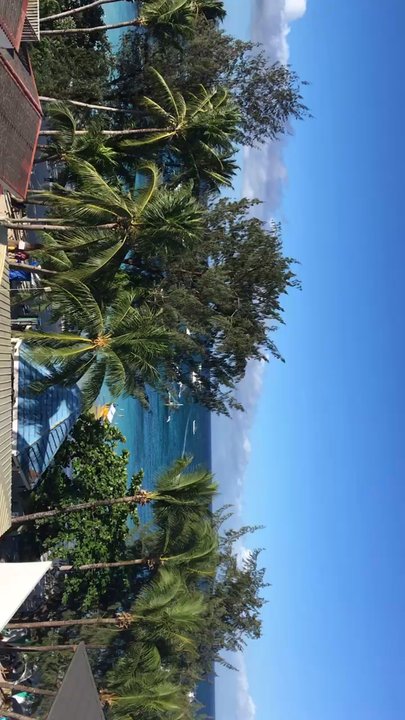 Executive Cafe - Morning view at breakfast - Cafes Near Me - Boracay, AKL