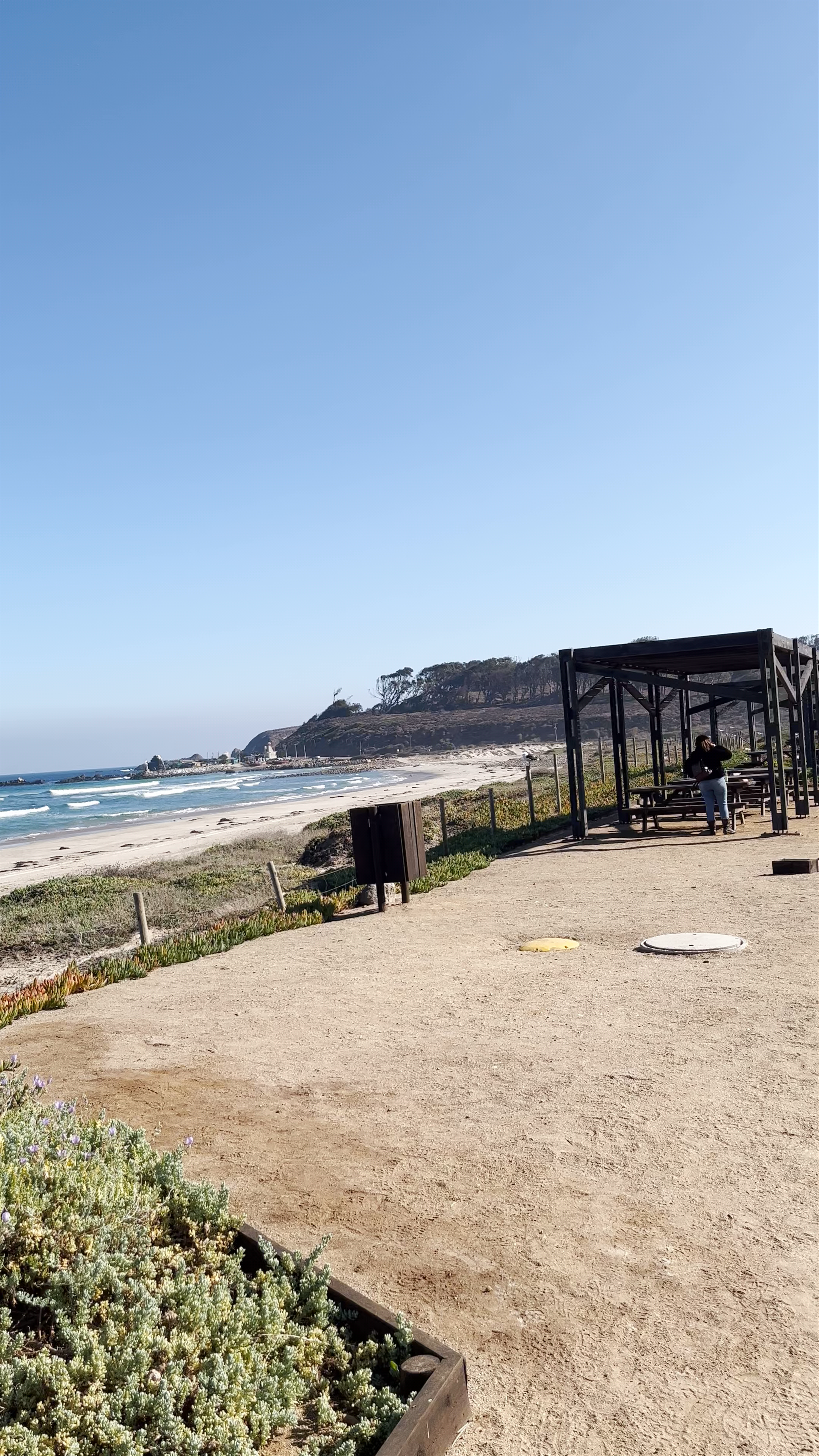 Playa Chigualoco Cove