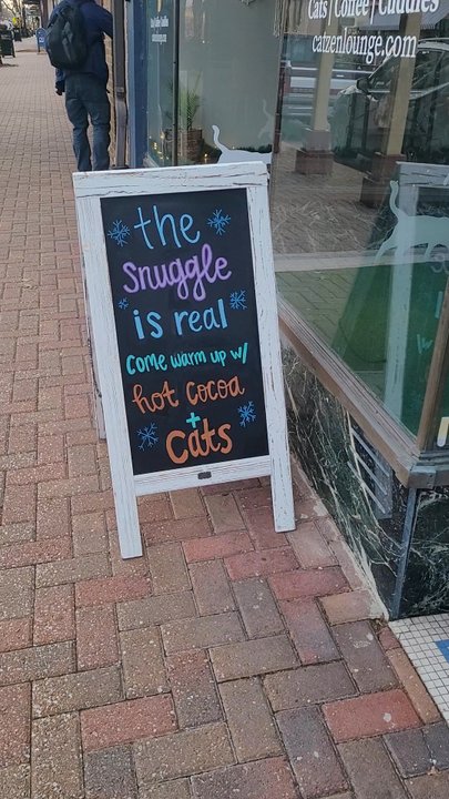 Cat Zen Cafe and Lounge - Pet Adoption Near Me - Saint Charles, Missouri