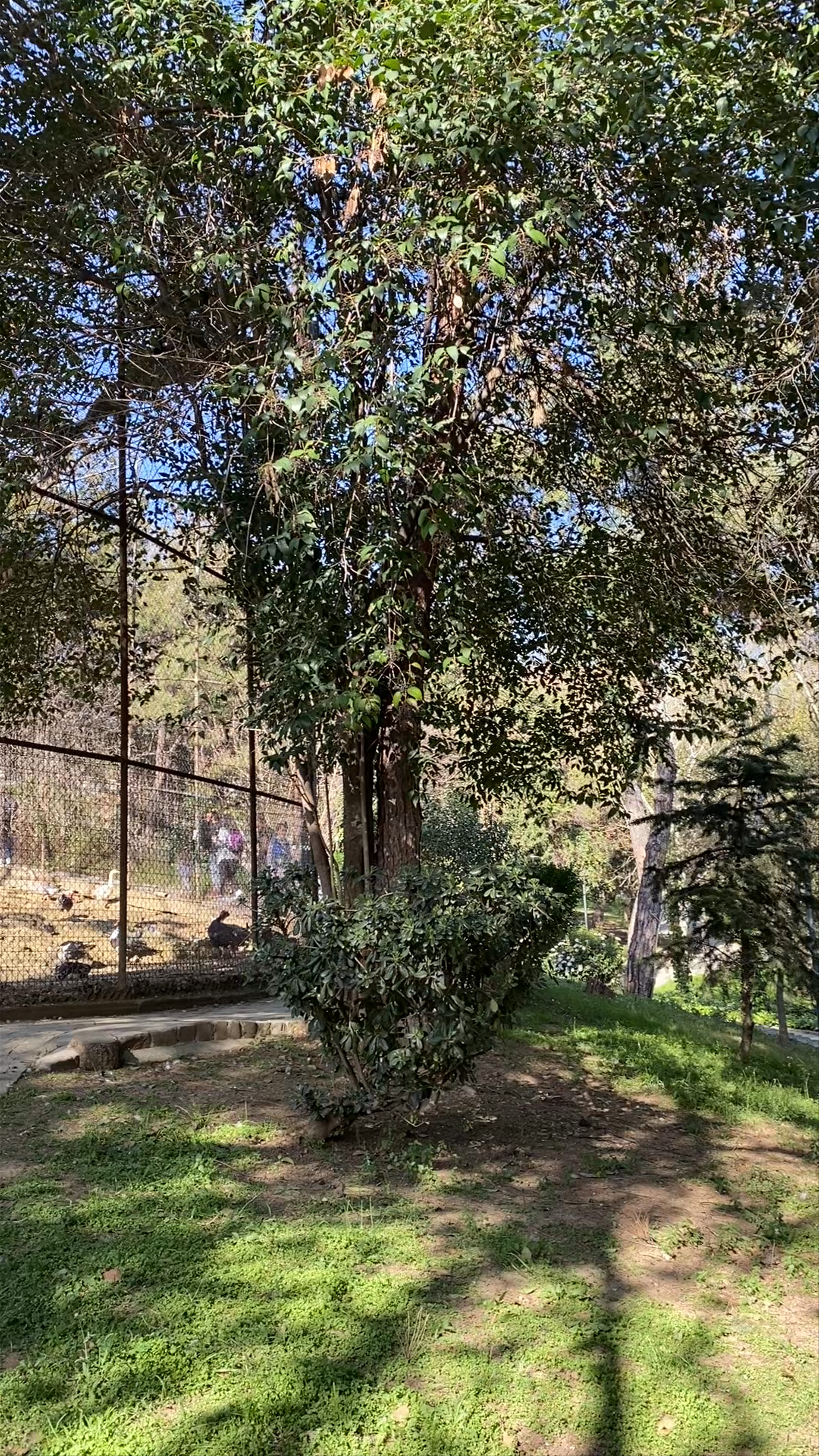 Ζωολογικός Κήπος Θεσσαλονίκης