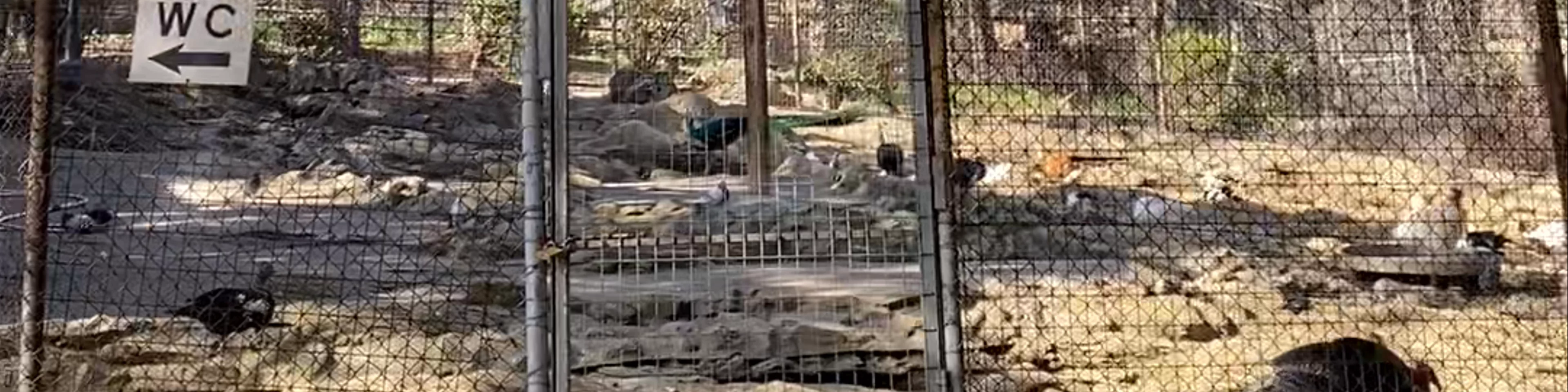 Ζωολογικός Κήπος Θεσσαλονίκης