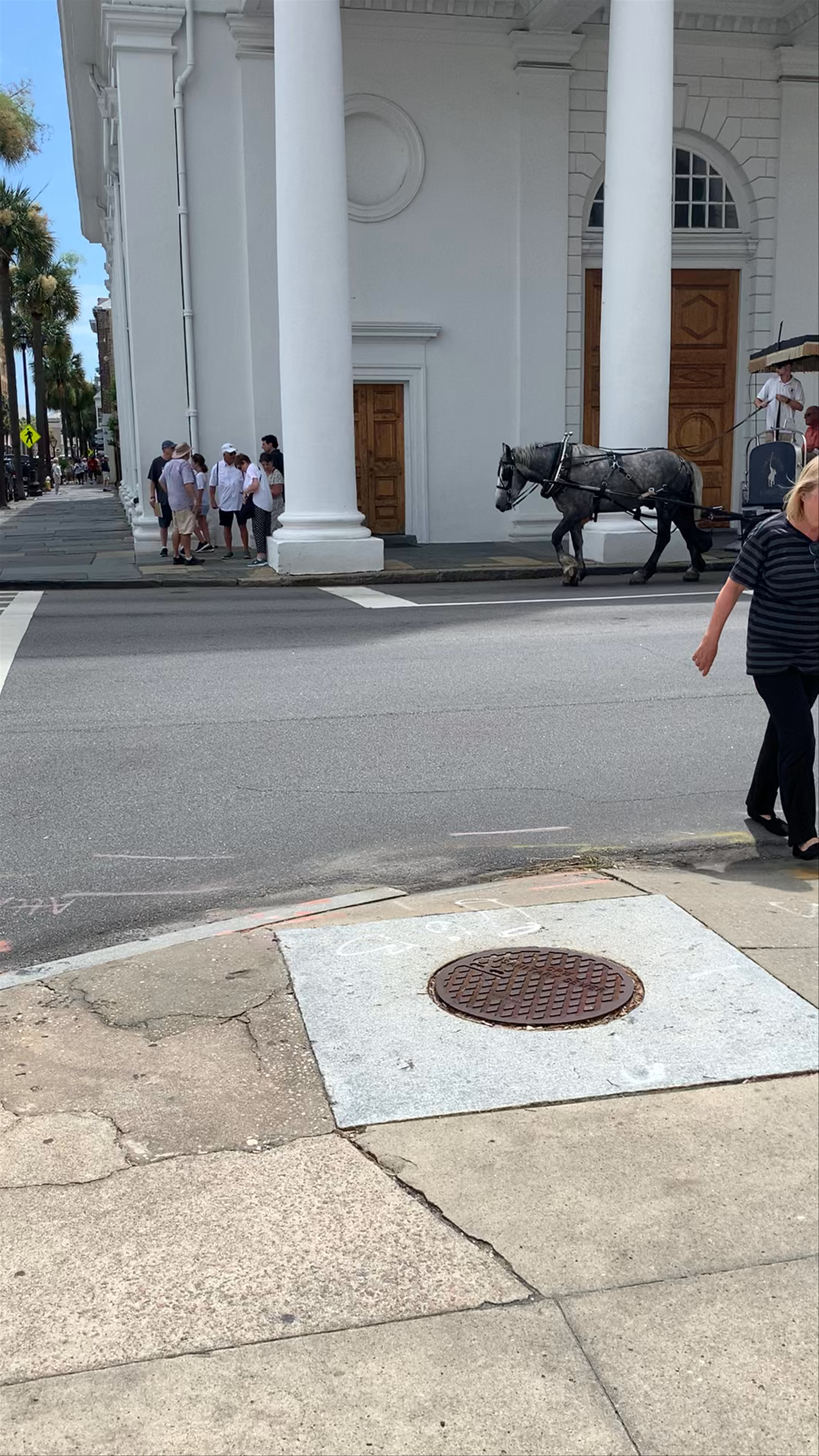 Palmetto Carriage 