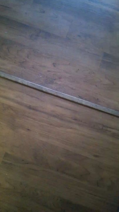 Barrys Carpet World - This is what i got instead. :( - Carpeting Near Me - Ridgewood, New York