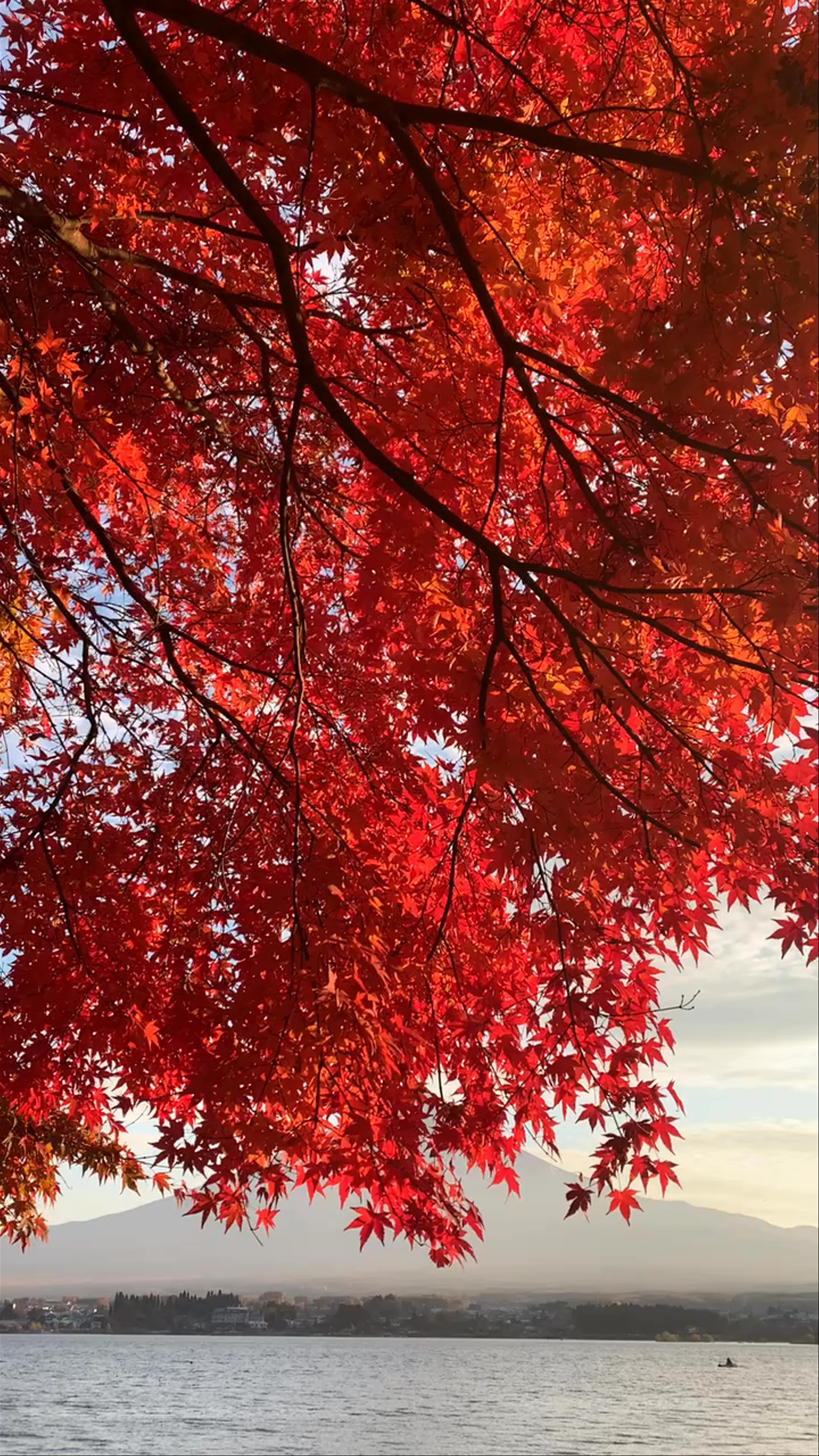 Lake Kawaguchi, Fujikawaguchiko, Yamanashi, Japan
