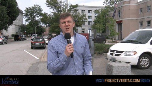 Video Thumbnail Loop