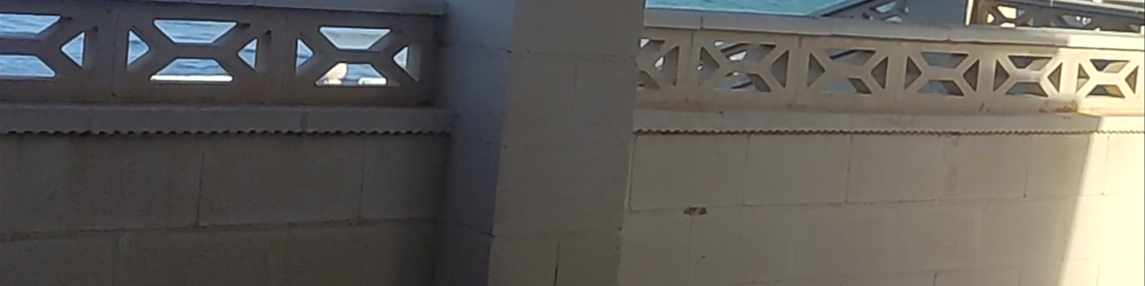 Alicante