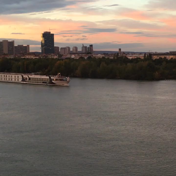 Hilton Vienna Waterfront - A cruise passing by my window - Hotels Near Me - Vienna, 9