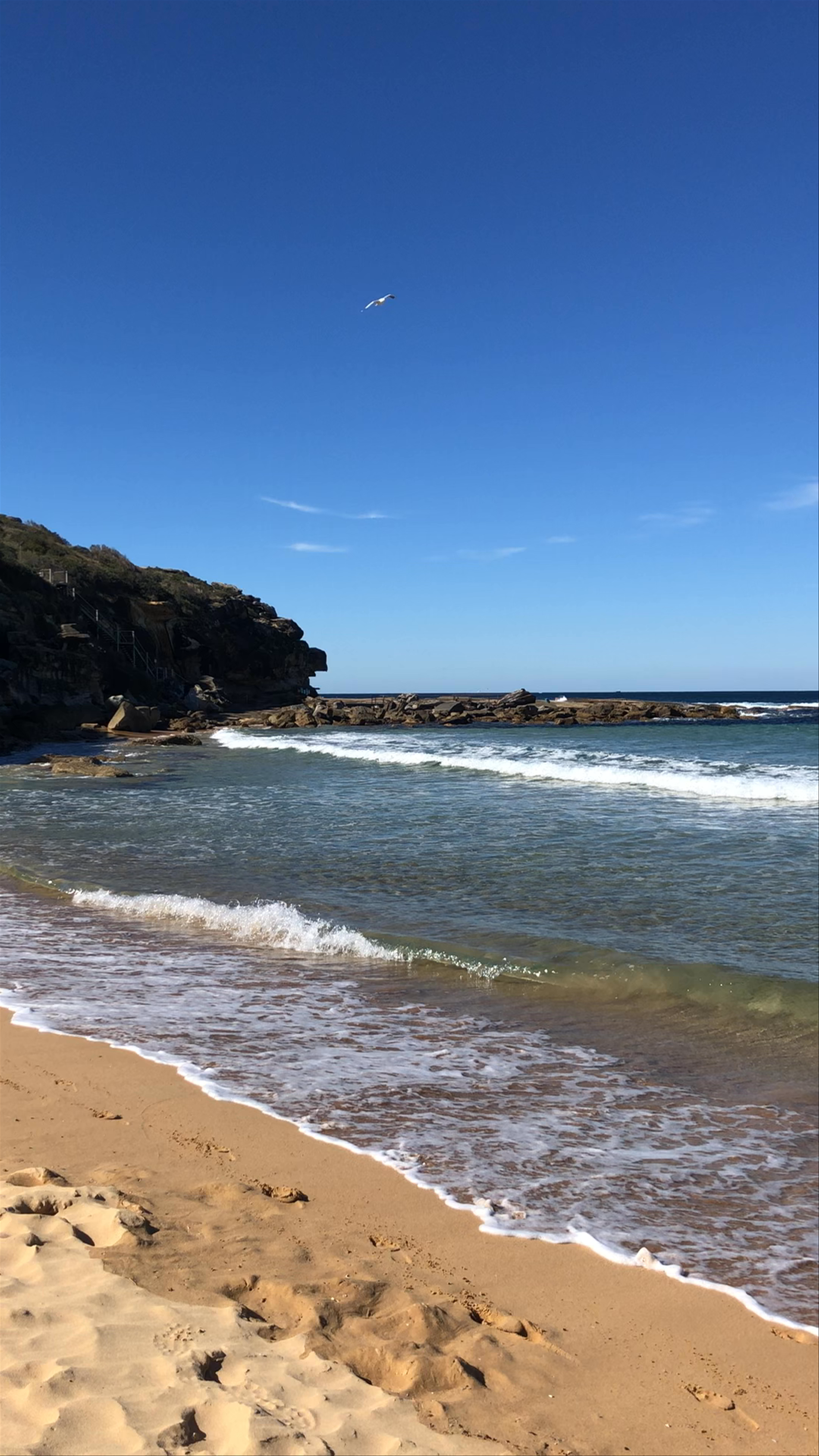 Curl Curl Beach